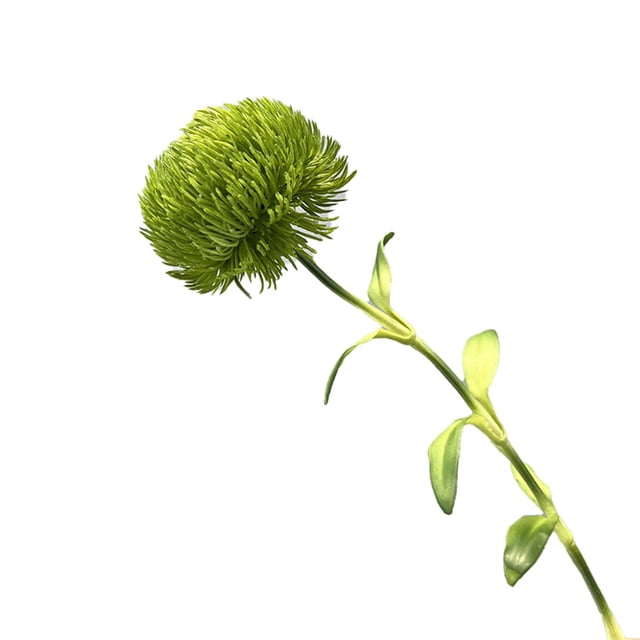 BotaniNest Dianthus Faux Soft Green For Home And Display