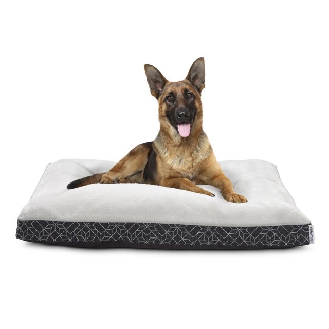 Vibrant Life Deluxe Gusseted Pet Bed, Large