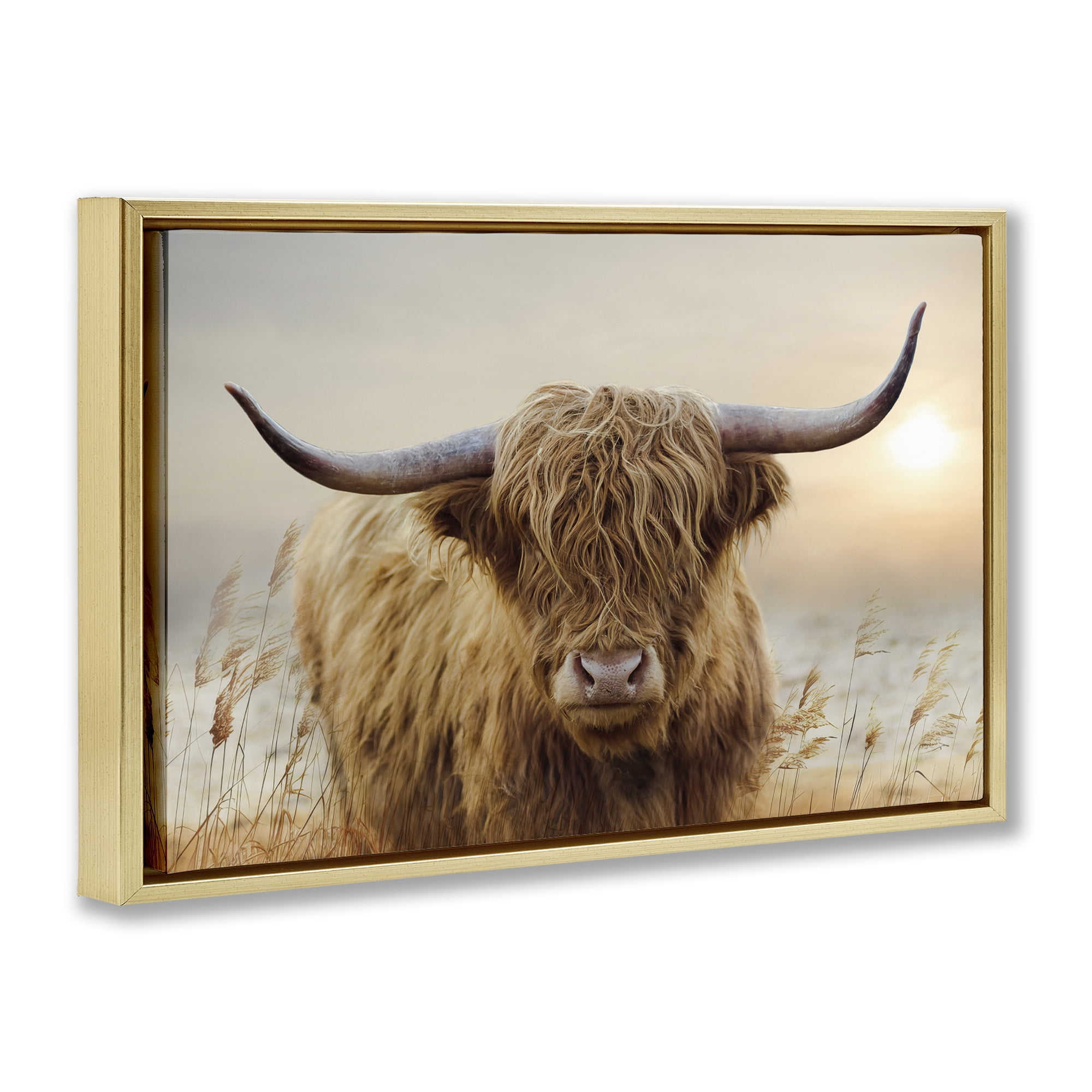 Stupell Industries Highland Cow & Warm Sunset Gold Framed Floater Canvas Wall Art, design by CAD Designs
