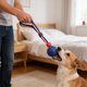 thumbnail image 5 of Pelota de neumático para mascotas con cuerda elástica, juguete de entrenamiento para perros, pelota para masticar y morder, perfecta para juego interactivo, molares de goma., 5 of 6
