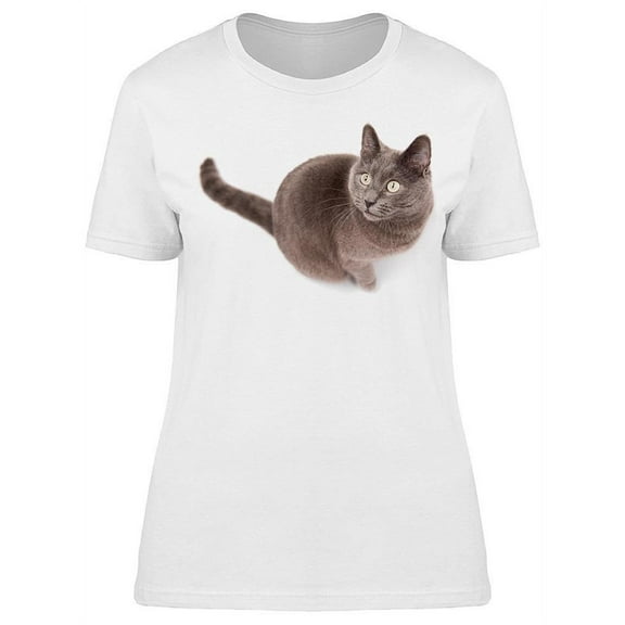 Watchful Beautiful Grey Cat T-Shirt Women -Image by Shutterstock, Female Medium
