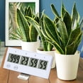 thumbnail image 3 of thinsony Electrical Kitchen Countdown Timer Hatching Baking Fitness Exam Reminder white, 3 of 8