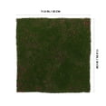 thumbnail image 2 of Miangastore Artificial Moss Mat Fake Grass Rug Indoor And Outdoor Decor Realistic Simulation Turf Artificial Moss Mat For Crafts And Decoration Fake Grass For Terrariums, 2 of 9