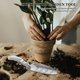 thumbnail image 1 of TABLETREANDS De Jardinería De Aluminio Para Plantar Y Excavar En Exteriores, 1 of 8