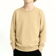 thumbnail image 3 of FAIWAD Kids Cotton Sweatshirt Boy Girl Basic Plain Sweatshirt Thin Long Sleeve Crewneck Pullover Tops, 3 of 8