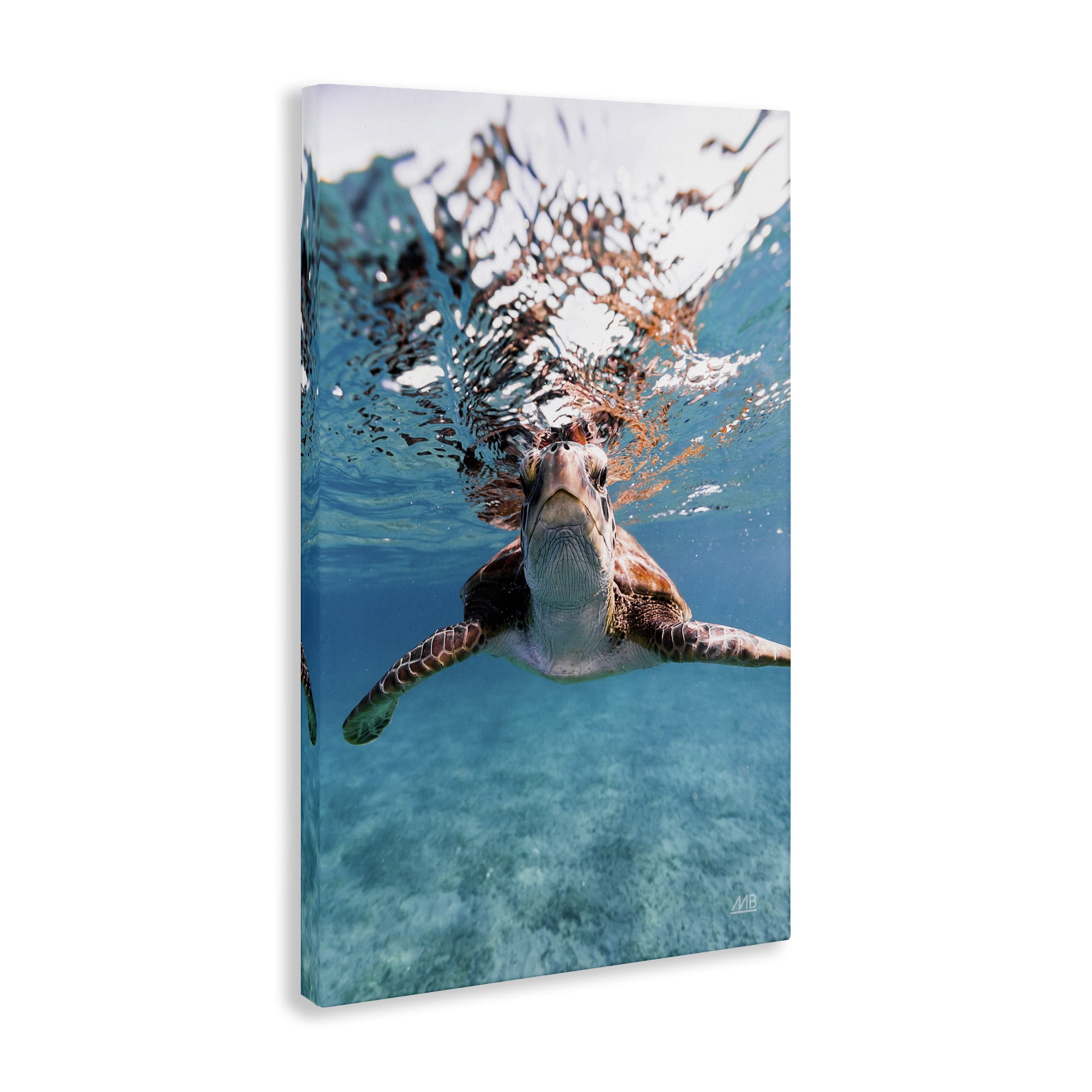 Stupell Industries Hello Sea Turtle Splash Animals Photography Wrapped Canvas Art Print Wall Art, 16 x 24