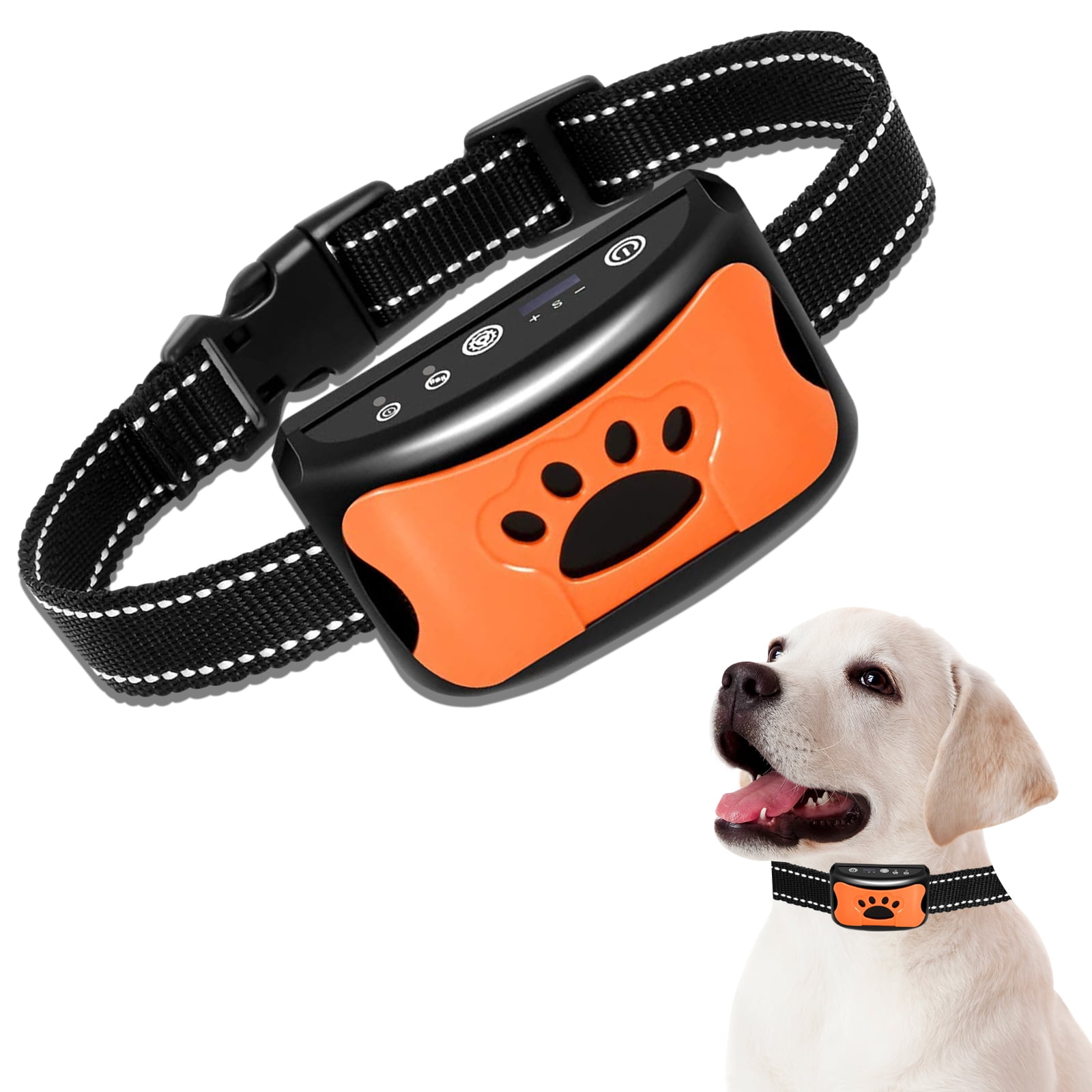 Best No Shock Dog Collar