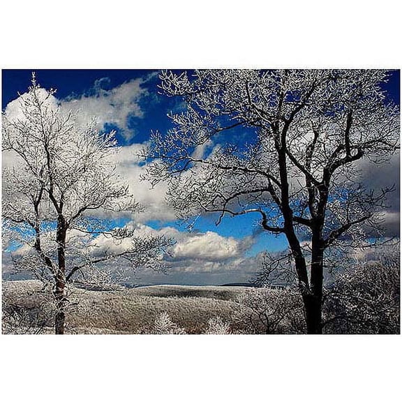 Trademark Fine Art "Mountain View" Canvas Art by Lois Bryan, 16x24