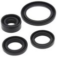 thumbnail image 1 of QuadBoss Oil Seal Set, 1 of 1