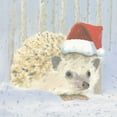 thumbnail image 2 of Adams, Emily 12x12 Black Ornate Wood Framed with Double Matting Museum Art Print Titled - Christmas Critters Bright IX, 2 of 4