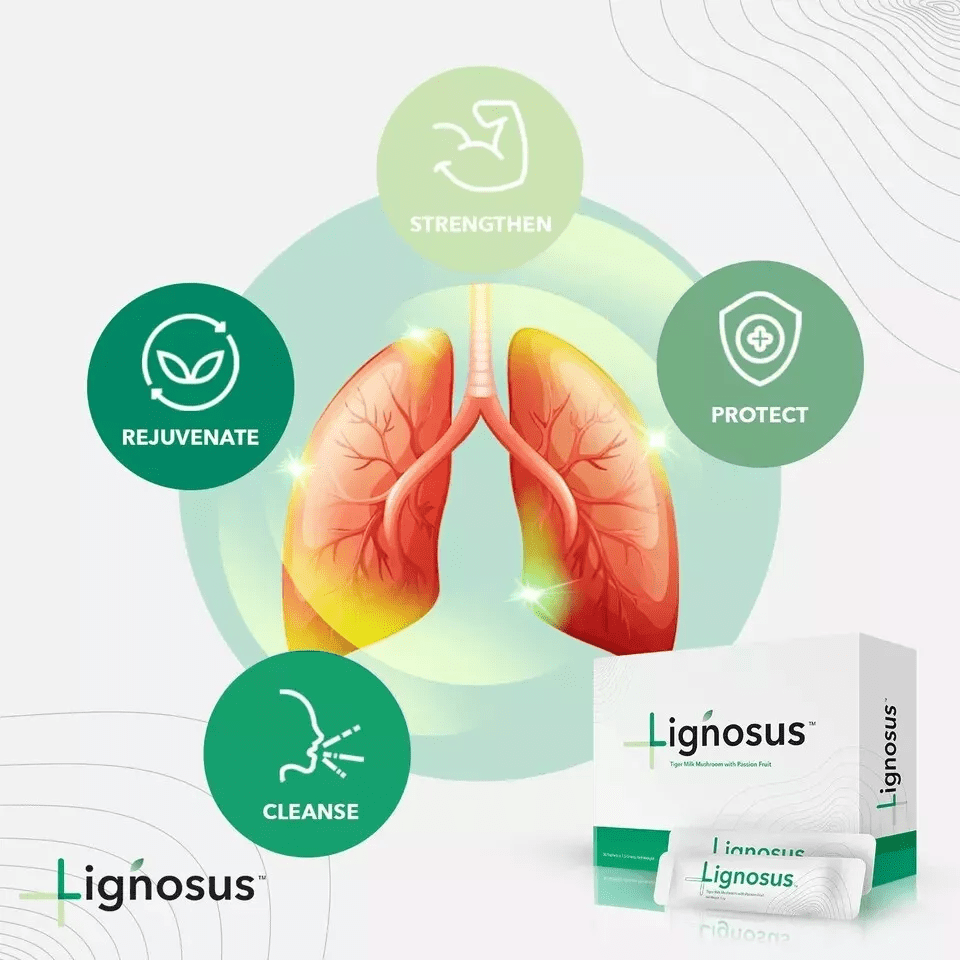 Lignosus the Best Natural Lung Supplement Organic Tiger Milk Mushroom - 30 Sachet Box