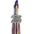 thumbnail image 3 of Endea Graduation Purple/Gold Mixed Color Graduation Tassel with Silver Date Drop, 3 of 10
