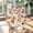 I, variant on HAJA GP Halloween Ghost Pumpkin Print Stemless Wine Glass Cute Clear Glass Tumbler Cup for Party Decor (Style D)
