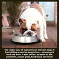 thumbnail image 3 of Iconic Pet 92006 Bol pour Chien Ou Chat en Acier Inoxydable à Alimentation Lente - Petit, 3 of 6
