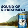 Busch Beer, 30 Pack Beer, 12 fl oz Cans, 4.3 ABV, Domestic