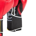 thumbnail image 3 of Guantes De Box Everlast XC2114, 3 of 4