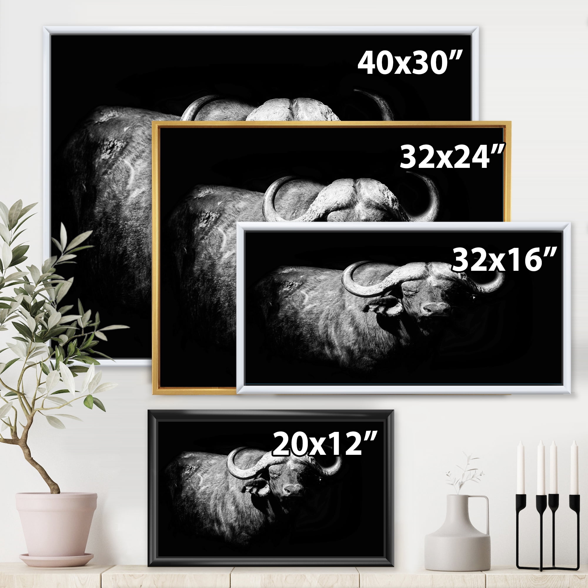 Designart 'Black and White Portrait Of Buffalo I' Farmhouse Framed Canvas Wall Art Print