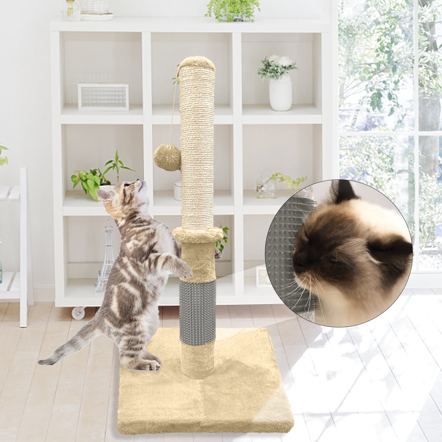 cat self scratching post