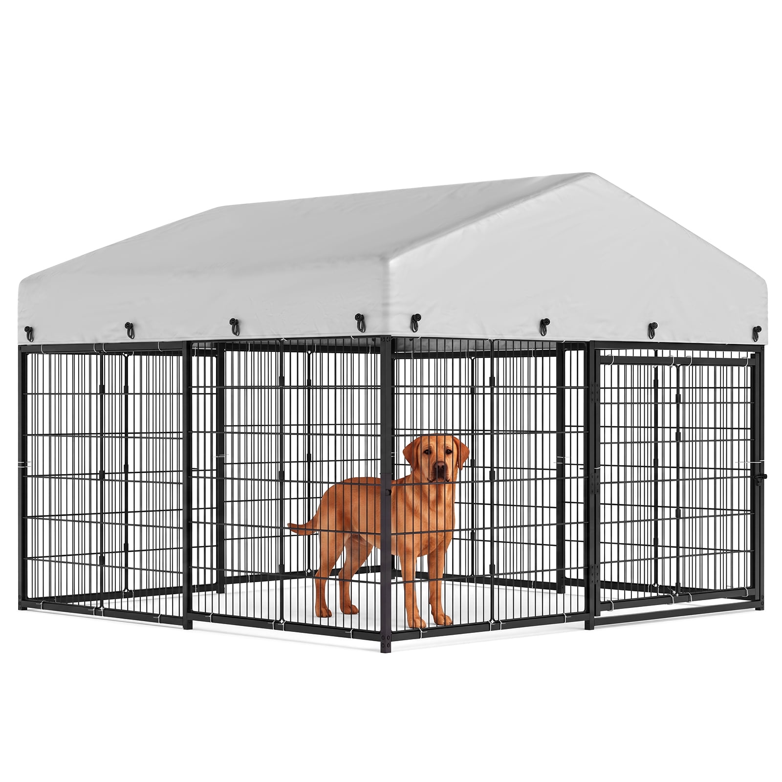 Heavy-Duty Outdoor Dog Kennel with Roof, Large Dog Enclosure/Run, Secure Steel Frame for Yard - 10x10 ft - Size: 2m