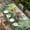 Green, variant on Palm Leaves Tropical Table Cloths for 5 Foot Rectangle Tables, Green Botanical Summer Green Ombre Patio Waterproof Elastic Fitted Tablecloths, Washable Rectangular Table Cover for Camping