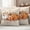 Light pink, variant on Fall Pumpkin Outdoor Waterproof Pillow Covers, Thanksgiving Autumn Leaves Floral Decorative Square Throw Pillowcase Sofa Cushion Sham for Patio/Couch/Chair, 24"x24" 2 Pack