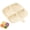 Creamy White, variant on 4-Compartment Dipping Sauce and Side Dish Plate, Plastic Ingredient Prep Tray with Handle for Kitchen, Versatile Appetizer and Fruit Serving Dish, 6.5 x 7.8 Inches