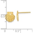 thumbnail image 4 of Solid 14k Yellow Gold Satin Diamond-cut Seashell Post Earrings - 9mm, 4 of 6