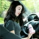 thumbnail image 3 of Rocket Office Humidificador Abs Material Portable Rocket Fuente Yuarrent HA026030-03, 3 of 7