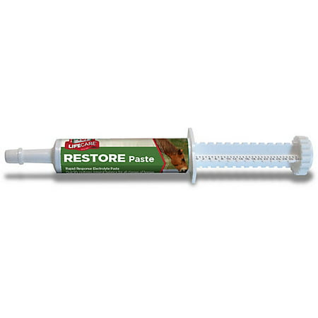Formula 707 Restore Electrolyte Paste (Best Way To Restore Electrolytes)