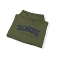 thumbnail image 4 of Tallahassee Florida Trip Moving Vacation Hoodie, Gifts, Hooded Sweatshirt, 4 of 4