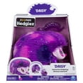 Zoomer Hedgiez, Daisy, Interactive Hedgehog with Lights, Sounds and