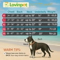 thumbnail image 2 of Pijama para perros LovinPet Recovery, traje antilamido, jurásico, 2 of 7