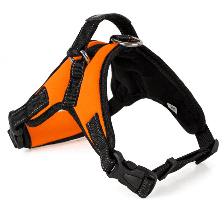 Adjustable Breathable Pet Dog Harness Vest Chest Strap with Welded D ...