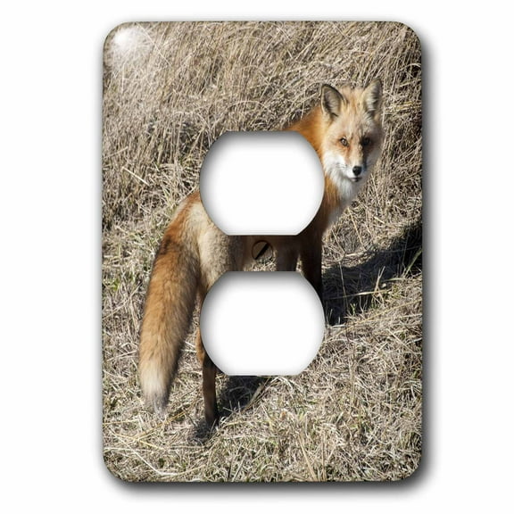 3dRose, Red Fox Walking away, 2 plug outlet cover