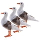 thumbnail image 1 of 3x Simulación Gaviota Artificial Pájaro Vivid Decoración para Accesorios para fotografía, 1 of 9
