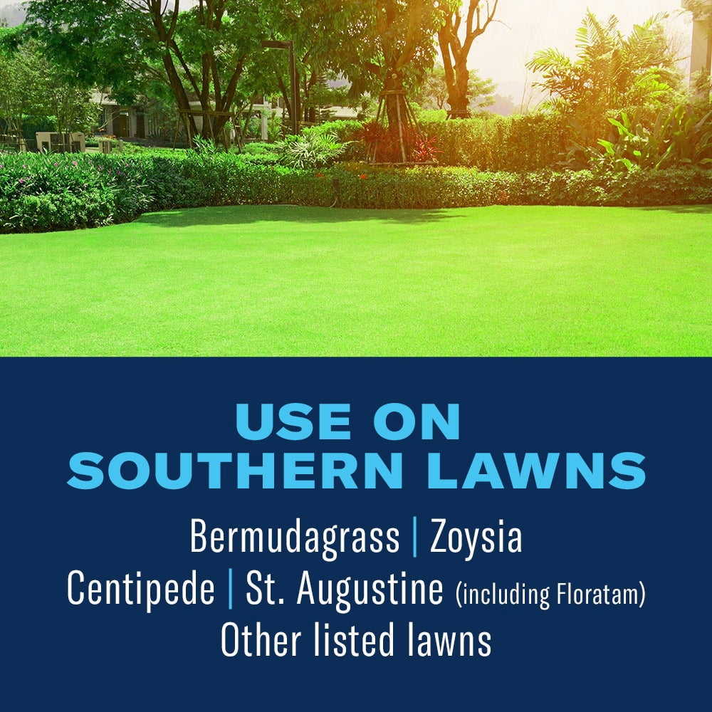 BioAdvanced 3-in-1 Weed & Feed for Southern Lawns Plus Insect Killer, 10lb, Granules