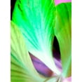 thumbnail image 2 of Grayscale 15x18 White Modern Wood Framed Museum Art Print Titled - Green Leaves I, 2 of 4