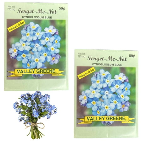 Valley Greene 225mg Forget-Me-Not Blue Flower Seeds : 2CT