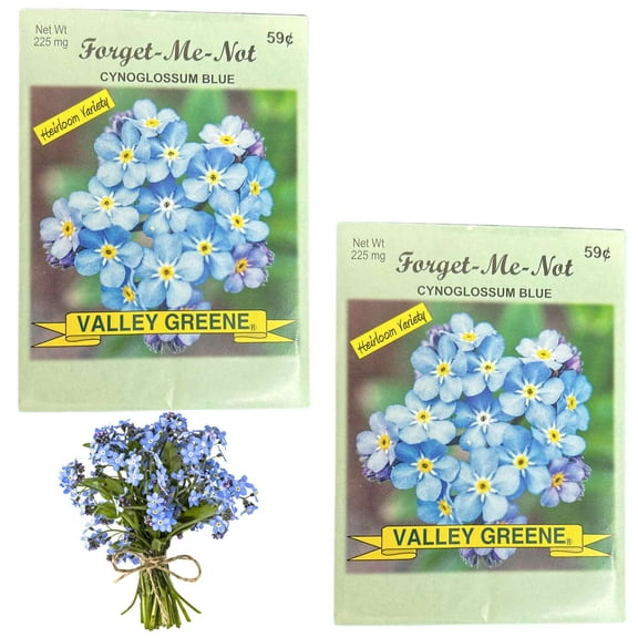 Valley Greene 225mg Forget-Me-Not Blue Flower Seeds : 2CT