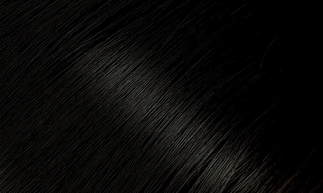 [ 6 PACK ] BIGEN - Permanent Powder Hair Color [ BLACK BROWN #58 ] 0.21 Oz. * BEAUTY TALK LA *