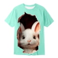 thumbnail image 3 of Rhuody Boys Tops Short Sleeve Easter T Shirt Bunny Print Tee Crew Neck Blouse Trend Boy Summer Tops 12-13 Years Mint Green, 3 of 3