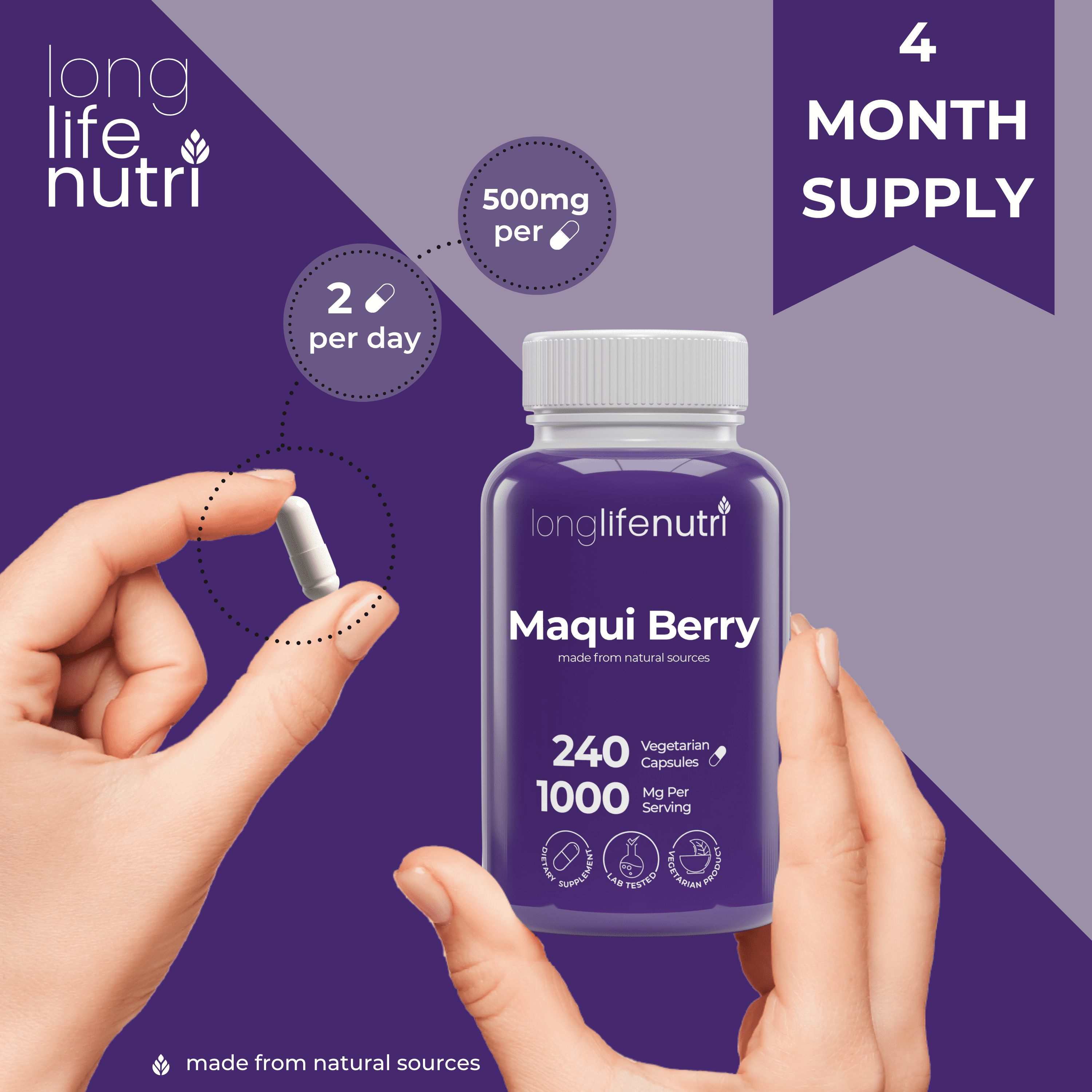 Maqui Berry 1000mg - 240 Vegetarian Capsules, High ORAC Superfood