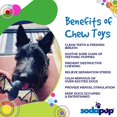 thumbnail image 4 of Juguete masticable SodaPup Vampire Bat, duradero, para perros, de nailon, EE. UU., 4 of 6