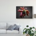 thumbnail image 3 of Trademark Fine Art 'Studio Flowers IV' Canvas Art by James McLoughlin, 3 of 4