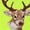 Safety Yellow, variant on Mens Buck Deer High Visibility Hoodie Sweatshirt, 2XL Safety Orange