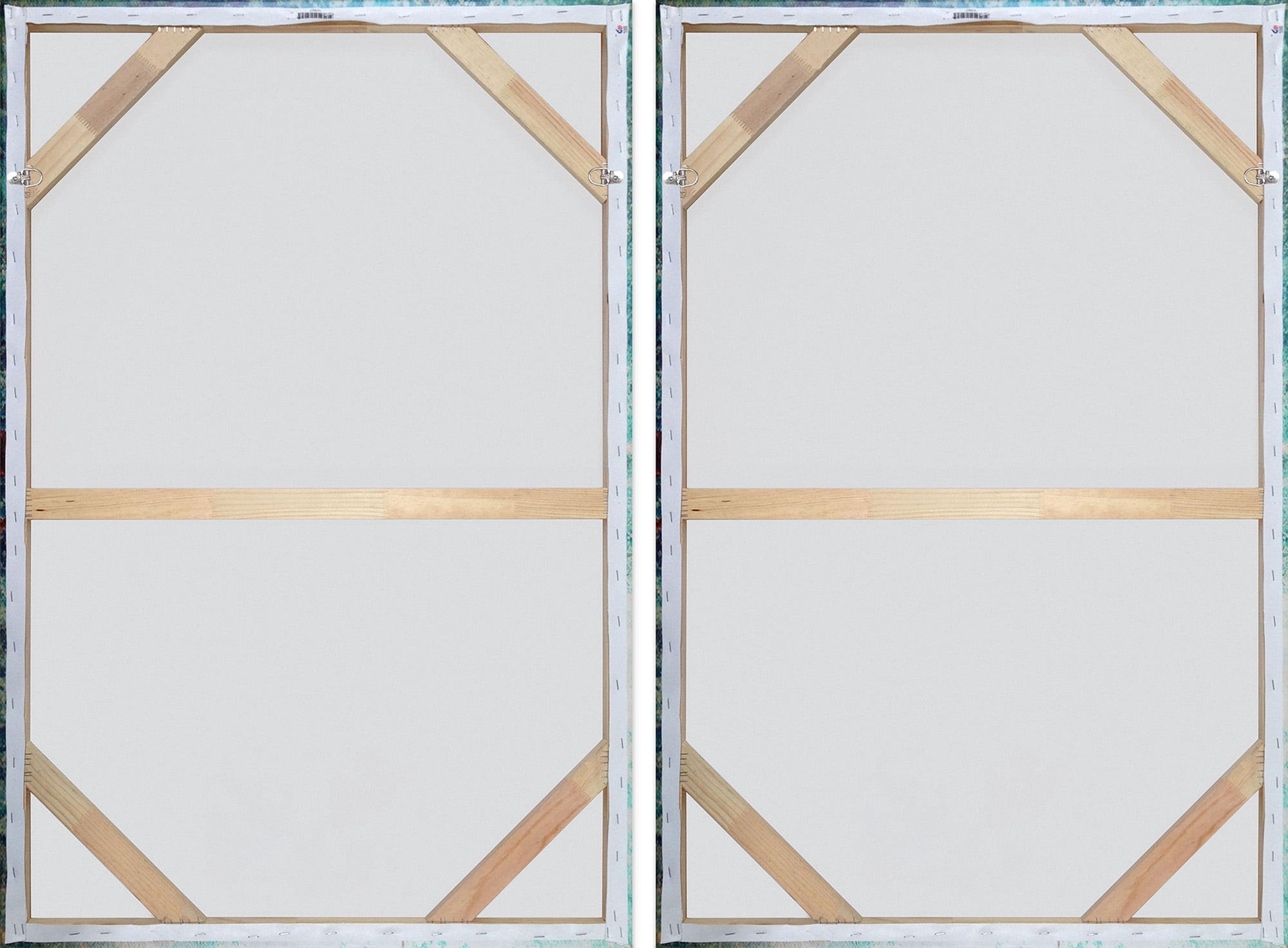 Skinny Tree Trunks III Diptych