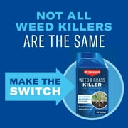 BioAdvanced Weed & Grass Killer, Non-Selective Herbicide, 32Floz Concentrate