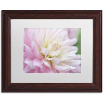 Trademark Fine Art 'White and Pink Dahlia' Canvas Art by Cora Niele, White Matte, Wood Frame