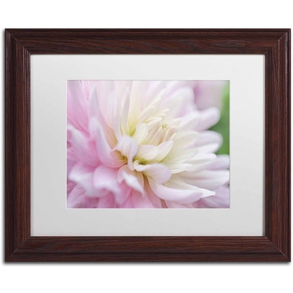 Trademark Fine Art 'White and Pink Dahlia' Canvas Art by Cora Niele, White Matte, Wood Frame