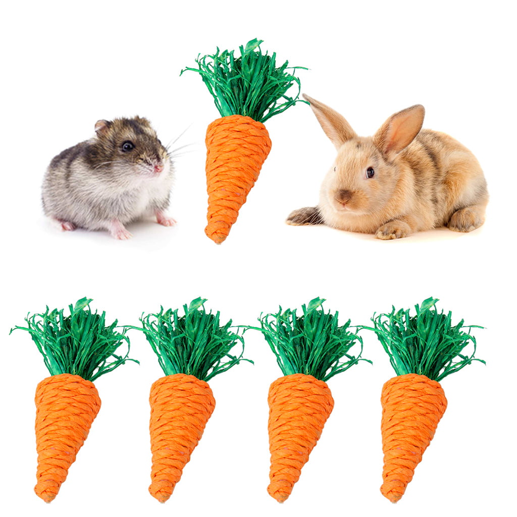 2pcs Carrot Shape Hamster Teeth Grinding Cake Cookie Small Pets Rabbit Chew Toys 